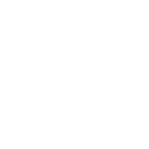 Detail Driven Autohaus monogram